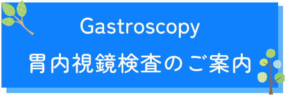 胃内視鏡検査のご案内